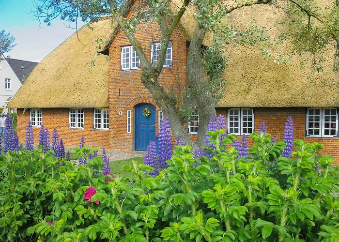 아파트 Friesenhaus Sara S2 *